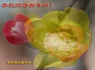 Published on 12/31/2006 ½󷨵ӹףʦ֣ģ