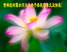 Published on 12/31/2006 ½󷨵ӹףʦ֣ģ