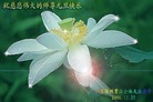Published on 12/31/2006 ½󷨵ӹףʦ֣ģ