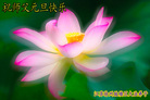 Published on 12/31/2006 ½󷨵ӹףʦ֣ģ