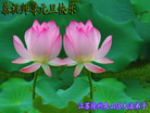 Published on 12/31/2006 ½󷨵ӹףʦ֣ģ