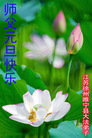 Published on 12/31/2006 ½󷨵ӹףʦ֣ģ