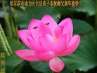 Published on 1/1/2007 ½󷨵ӹףʦ֣ţ