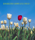 Published on 5/16/2006 ½ӹʦ𻪵ߵ߽編ִգʮһ