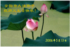 Published on 5/16/2006 ½ӹʦ𻪵ߵ߽編ִգʮһ