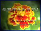 Published on 5/15/2006 ½ӹʦ𻪵ߵ߽編ִգˣ 