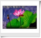 Published on 2/14/2013 ���ֹ�,��½�󷨵��ӹ�ףʦ������ã�45����
