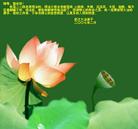 Published on 2/18/2007 ½󷨵ʦ꣨ˣ