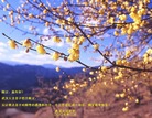 Published on 2/18/2007 ½󷨵ʦ꣨ˣ