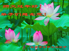 Published on 2/18/2007 ½󷨵ʦ꣨ˣ
