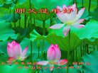Published on 2/18/2007 ½󷨵ʦ꣨ˣ
