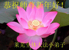 Published on 2/18/2007 ½󷨵ȱʦ꣨ʮ