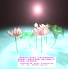 Published on 2/18/2007 ½󷨵ȱʦ꣨ʮ