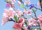 Published on 2/18/2007 ½󷨵ȱʦ꣨ʮ