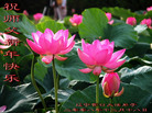 Published on 12/31/2008 ½󷨵ӹףʦ֣
