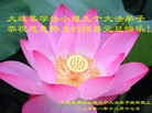 Published on 12/31/2008 µһM