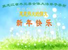 Published on 12/31/2008 ½󷨵ӹףʦԪ֣