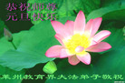 Published on 12/31/2008 ϵͳ󷨵ӹףʦԪ