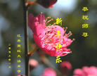 Published on 12/31/2008 ϵͳ󷨵ӹףʦԪ