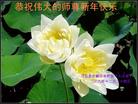 Published on 12/31/2008 йǷѺĴ󷨵Ӿʦ