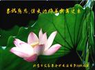 Published on 12/31/2008 ½ҵ󷨵ӹףʦԪ֣ͼ