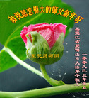 Published on 1/1/2009 ½󷨵ӹףʦԪ֣ߣ