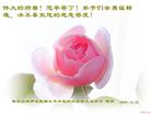 Published on 12/31/2008 йǷѺĴ󷨵Ӿʦ