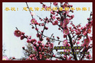 Published on 1/1/2009 MH-2009-1-1 20090101  ȫ<p>

