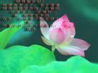 Published on 1/1/2009 ½ġࡢɹŵףʦ