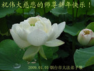 Published on 1/1/2009 MH-2009-1-1 20090101  ȫ<p>
