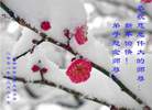 Published on 1/1/2009 MH-2009-1-1 20090101  ȫ<p>
