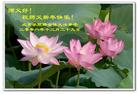 Published on 1/1/2009 ½󷨵ӹףʦԪ֣ʮߣ