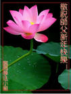 Published on 1/1/2009 ½󷨵ӹףʦԪ֣ʮߣ