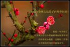 Published on 1/1/2009 ½󷨵ӹףʦԪ֣ʮߣ