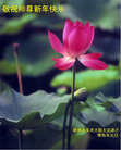 Published on 1/1/2009 ½󷨵ӹףʦԪ֣ʮģ