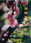 Published on 1/1/2009 ½󷨵ӹףʦԪ֣ʮģ