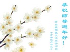 Published on 2/7/2008 ½󷨵ʦ꣨