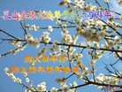 Published on 2/7/2008 ½󷨵ʦ꣨