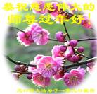Published on 2/7/2008 大陆大法弟子向师尊拜年（五）