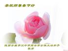 Published on 2/7/2008 ½󷨵ʦ꣨ߣ