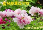 Published on 2/7/2008 ½󷨵ʦ꣨ߣ