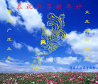 Published on 2/7/2008 大陆大法弟子向师尊拜年（五）