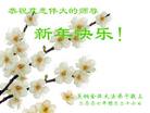 Published on 2/7/2008 大陆大法弟子向师尊拜年（五）