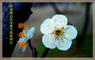 Published on 2/7/2008 ½󷨵ʦ꣨
