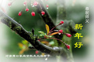 Published on 2/7/2008 ½󷨵ʦ꣨ţ