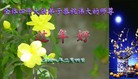 Published on 2/7/2008 ½󷨵ʦ꣨ˣ