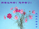 Published on 2/7/2008 大陆大法弟子向师尊拜年（八）