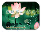 Published on 2/7/2008 ½󷨵ʦ꣨ˣ