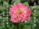 Published on 2/8/2008 大陆大法弟子向师尊拜年（二十三）