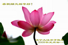 Published on 2/8/2008 大陆大法弟子向师尊拜年（二十三）